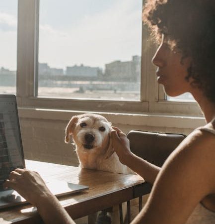 Методика обучения искусственного интеллекта