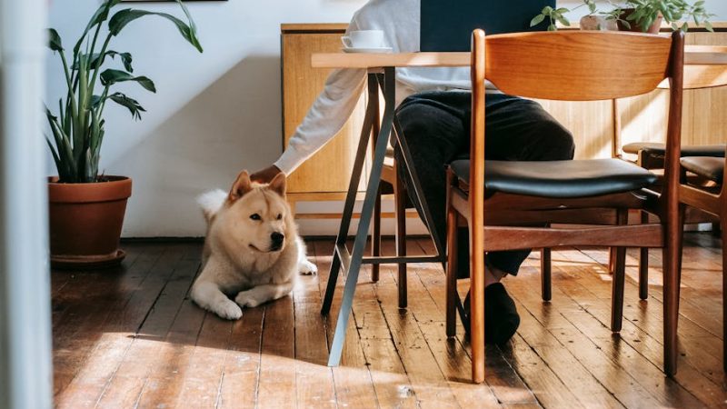 Курсы искусственного интеллекта и машинного обучения