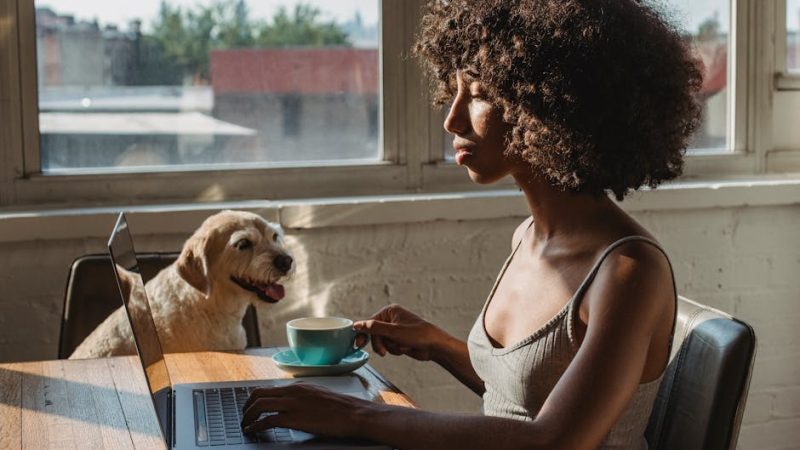 Входы и обучение нейросети