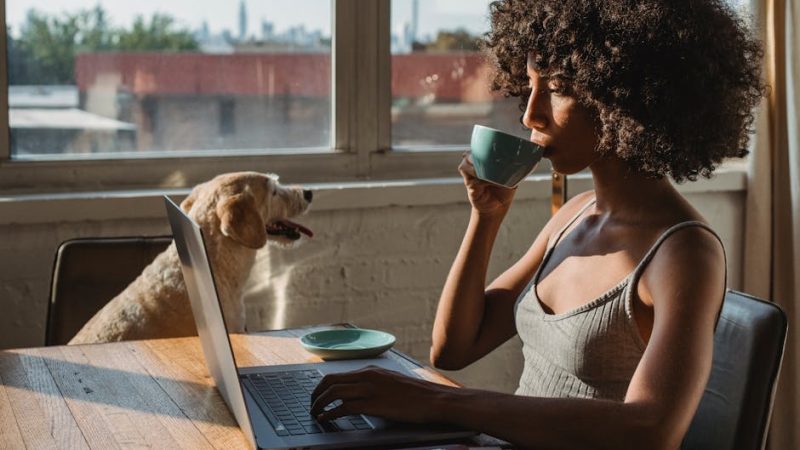 Нейронные сети и их применение