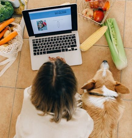 Складчина Sora 2025: подробный гид по участию и потенциальным рискам