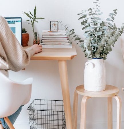 SoraX 2025 и складчина на проект