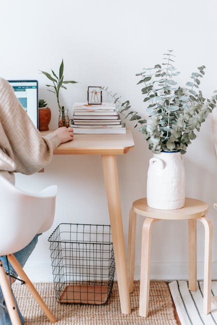 SoraX 2025 и складчина на проект