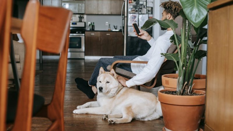 Работа в нейросетях: навыки и перспективы