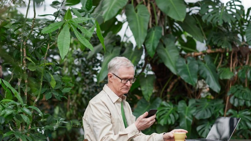 Видеокурс по DALL-E в складчине: доступное обучение нейронной сети