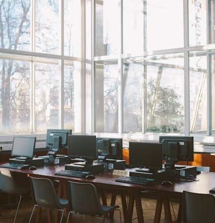 Объект обучения искусственного интеллекта