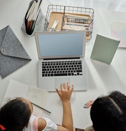 Stable Diffusion складчина и ее перспективы